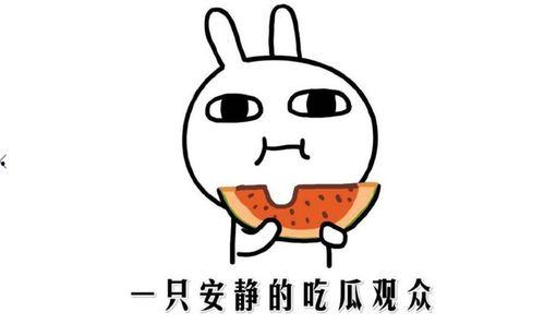 我在吃瓜,一场吃瓜盛宴背后的真相