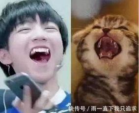 撞脸搞笑图片,笑料横生！搞笑图片带你领略“脸盲”的魅力